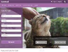 Tablet Screenshot of catsnow.com